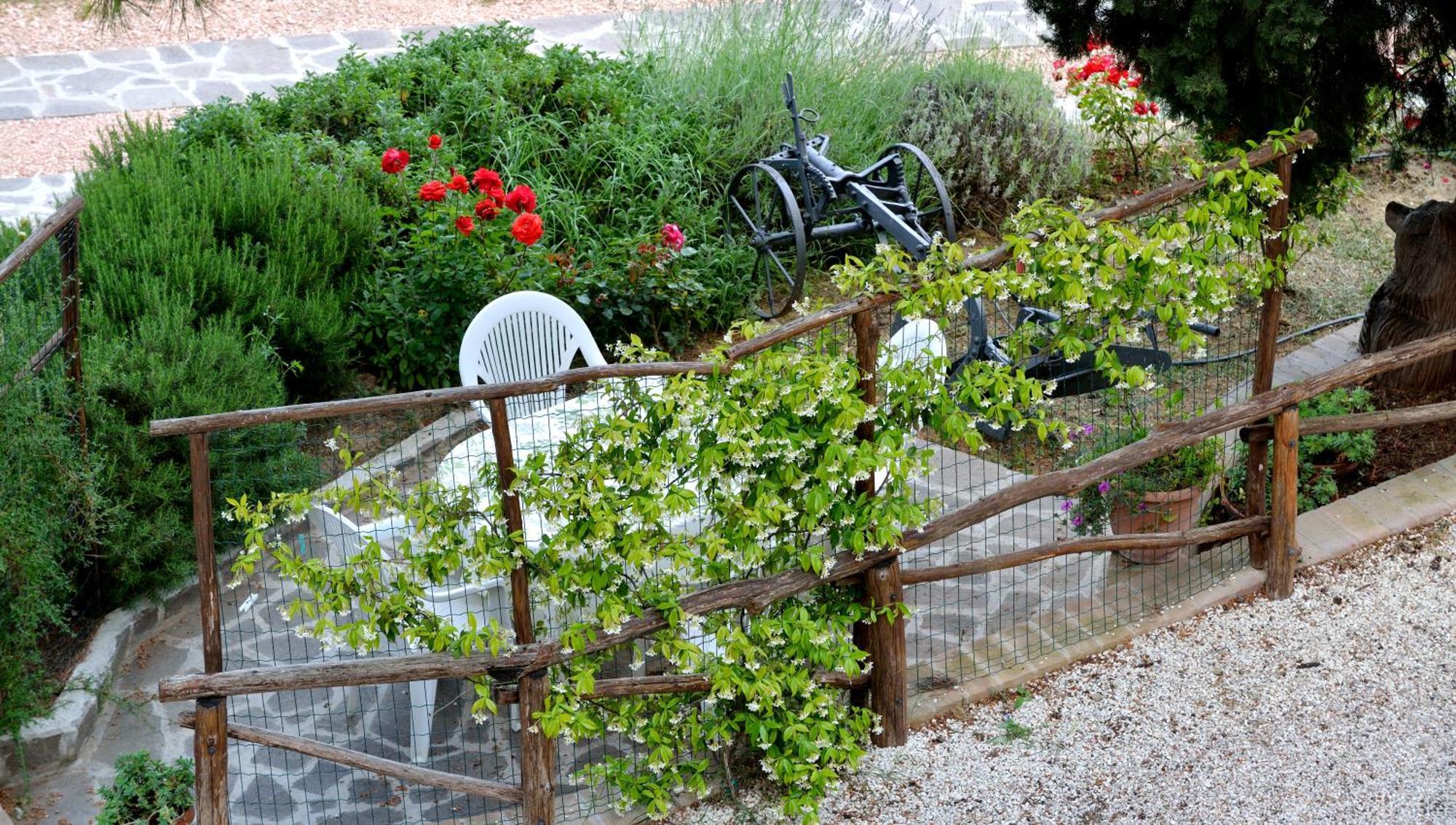 Agriturismo San Severo Passignano sul Trasimeno Zimmer foto