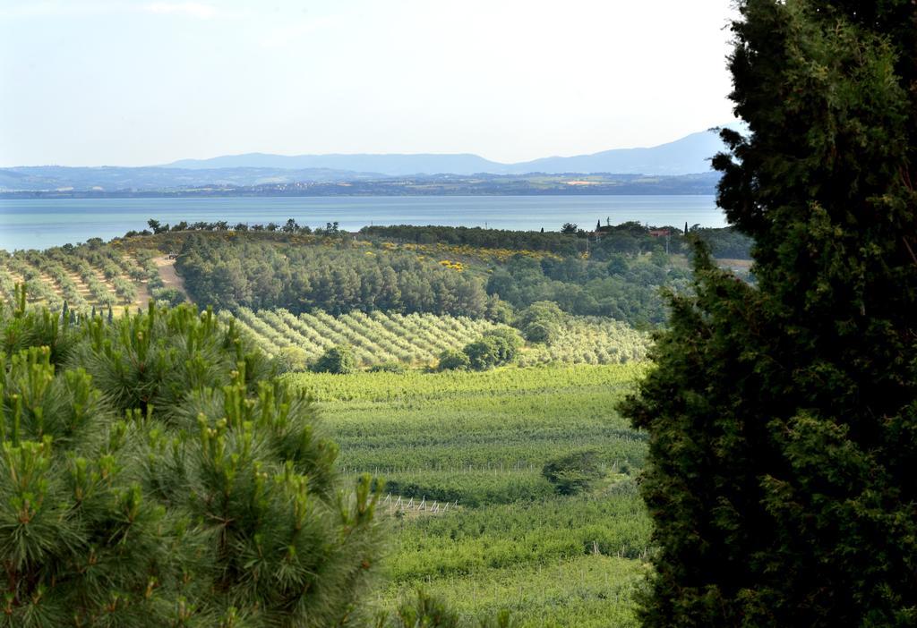 Villa Agriturismo San Severo Passignano sul Trasimeno Exterior foto